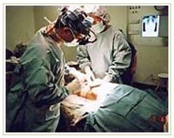 Slider image (4) Penang Adventist Hosiptal - Malaysia